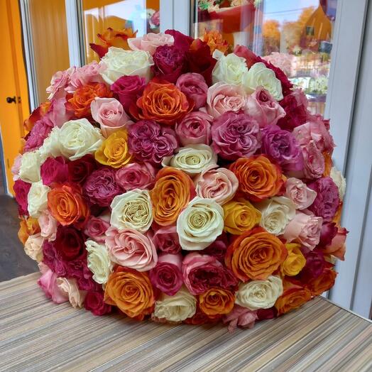 101 роза микс