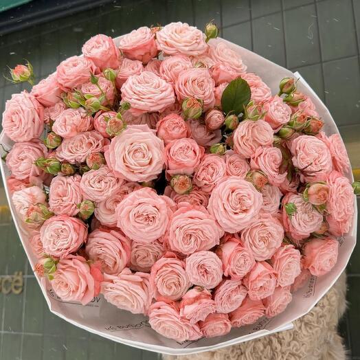 Кустовые розы `Бомбастик`