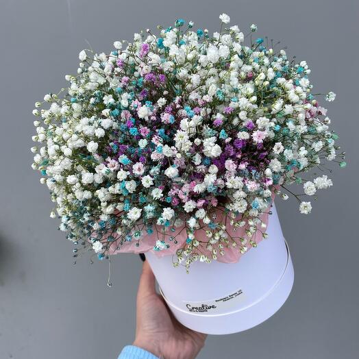 Gypsophila en una Caja de sombrero 5