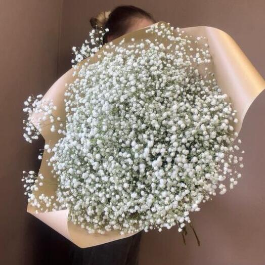 White gypsophila mono