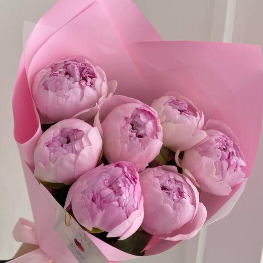 Пионы крупные премиум ХИТ розовые сорта Сара Бернар