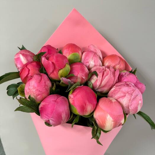 Пион «Коралл Шарм» 15