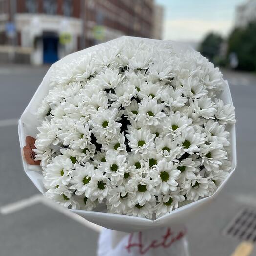Bouquet of snow-white chamomile chrysanthemums