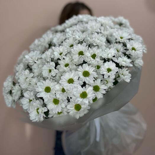 Пышный букет ромашек