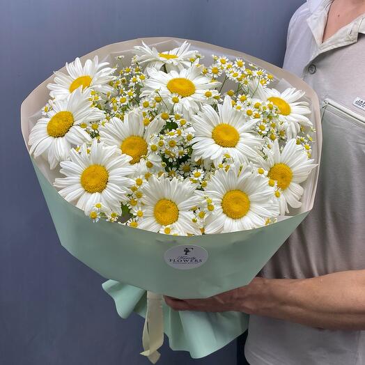 Букет из 🌼ромашек 🌼