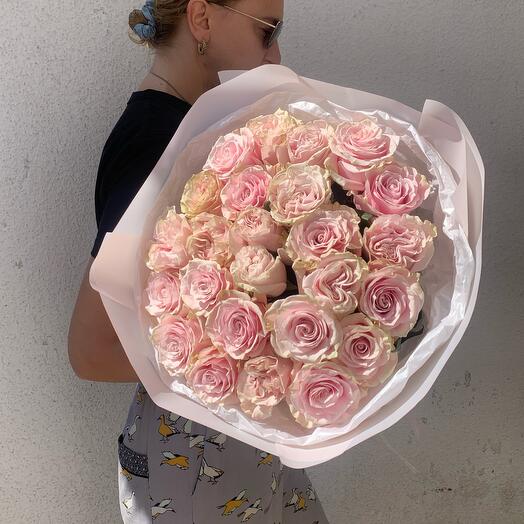 Pink Mondial 25