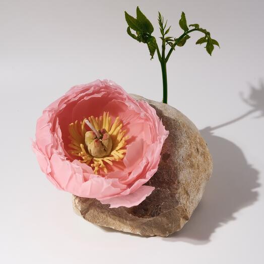 Свеча Пион Корал Шарм