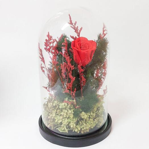 Зачарованная роза (роза в колбе)