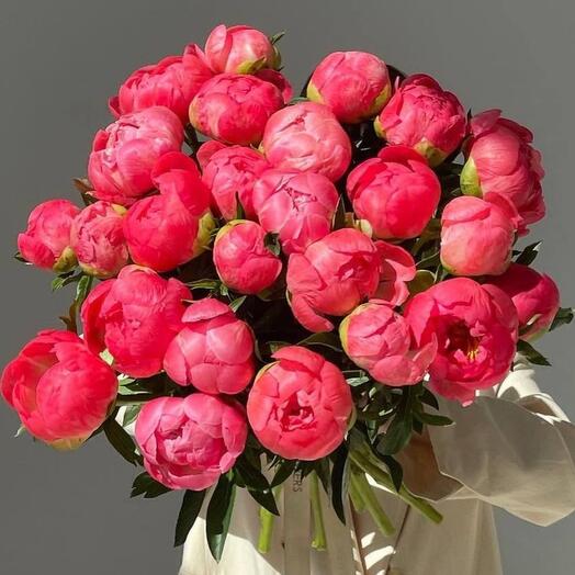 Bouquet of 25 coral peony