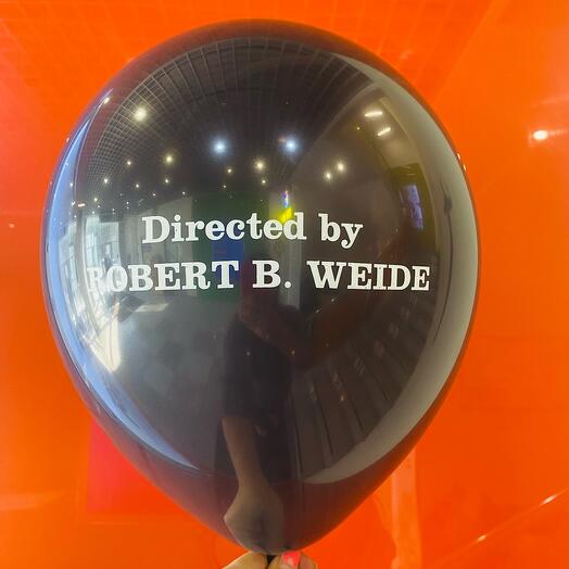 Сет - "Directed by Robert B. Weide"