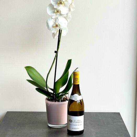Set orchid with white wine