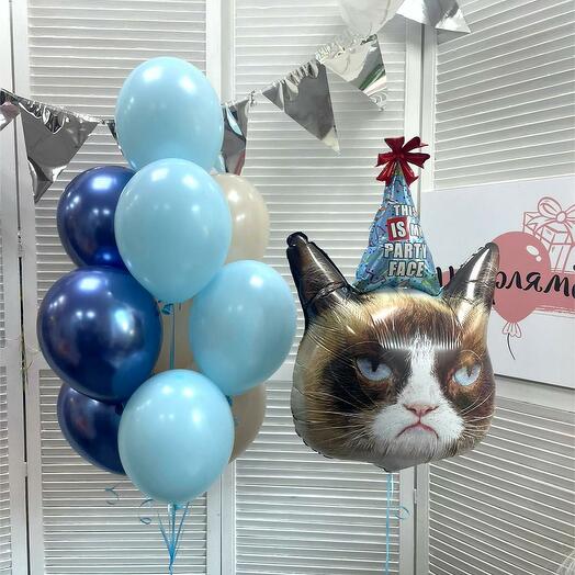 Композиция Сердитая кошка в колпаке "Grumpy cat"