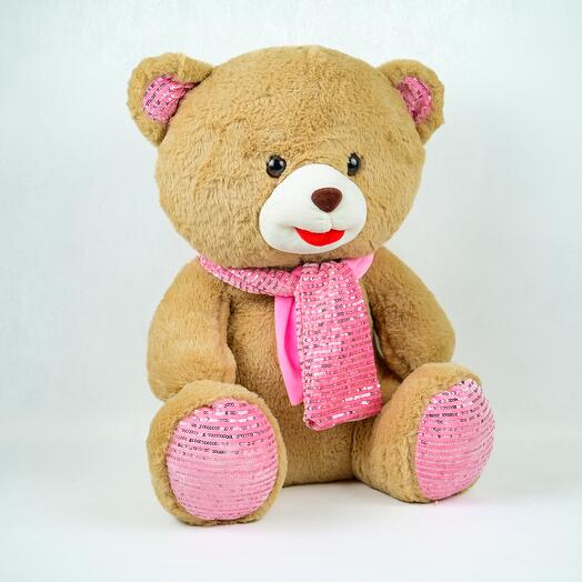 Light Brown Teddy with Silver Lace Worked Pink Tie - H 35 W 25