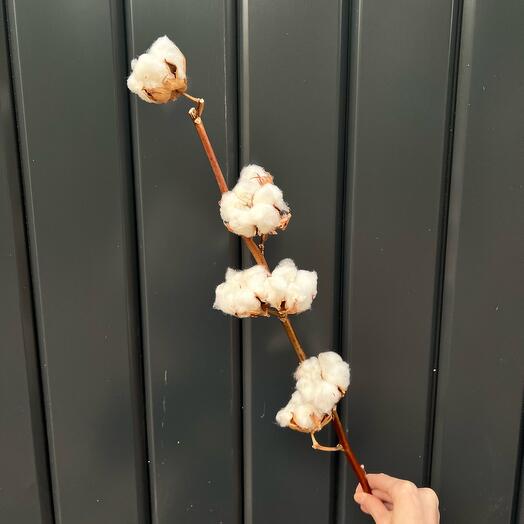 Хлопок натуральный