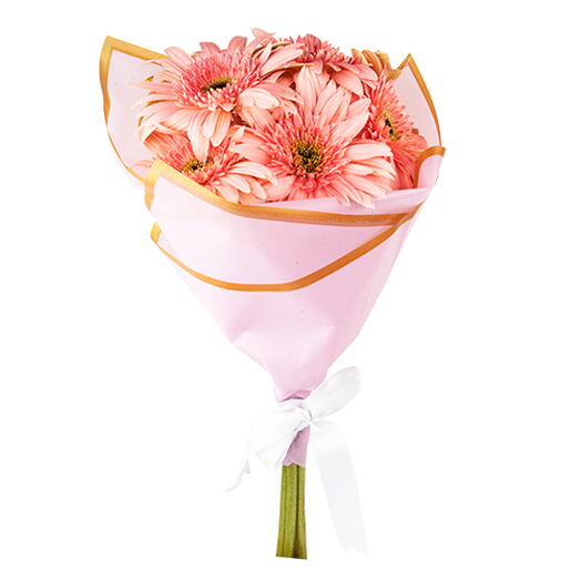 Pembe Gerbera Buketi (6 lı)