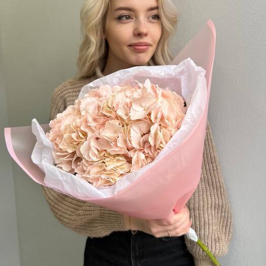 Bouquet of pink hydrangeas