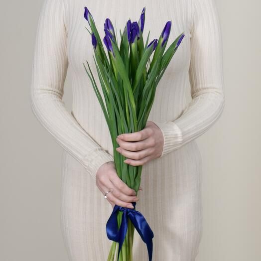Bouquet of 15 blue irises under a ribbon