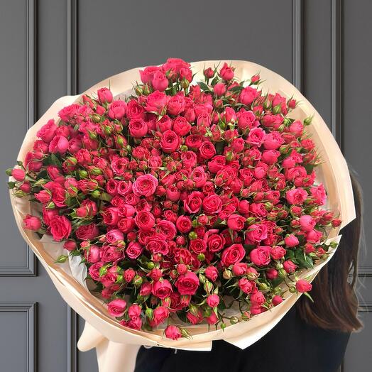 035 Mono Spray Sofia