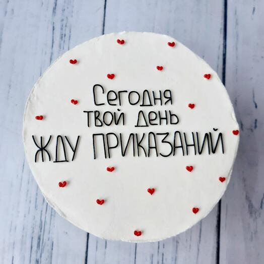 Бенто торт 750гр на 23 февраля жду приказаний к 23 февраля