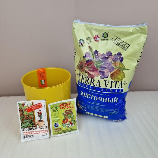 Горшок жёлтый пластиковый и грунт цветочный