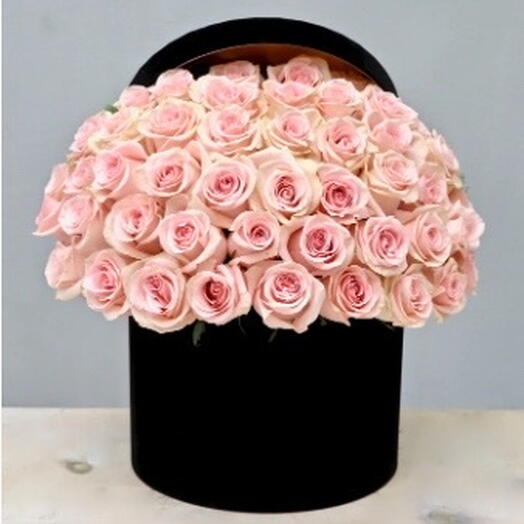 51 Pink Roses in a box