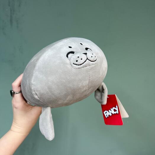 Тюлень