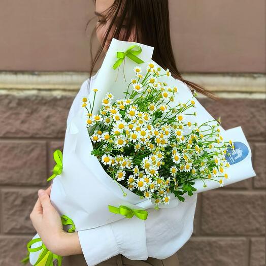 Моно букет из ромашек