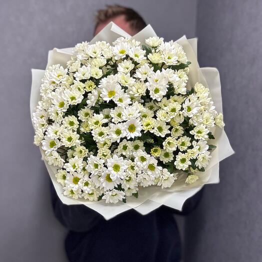 Bouquet of 17 white daisies (santini)
