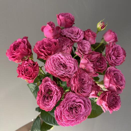 Mono bouquet of 7 bush roses