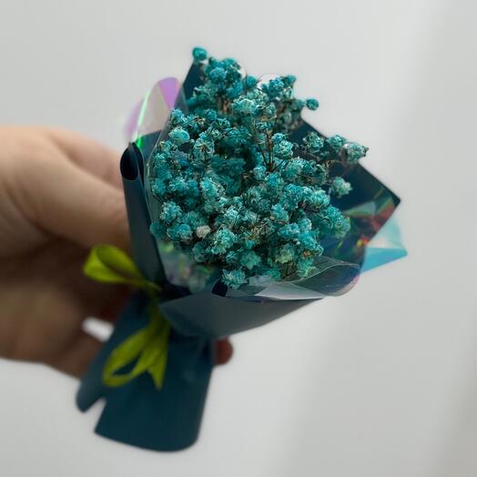 Xxs gypsophila