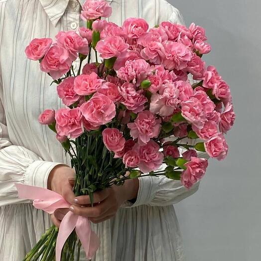 Букет из 25 кустовых гвоздик
