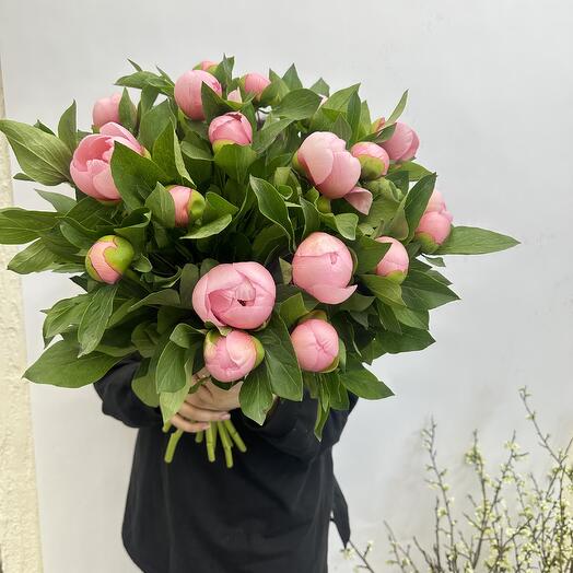 19 пионов