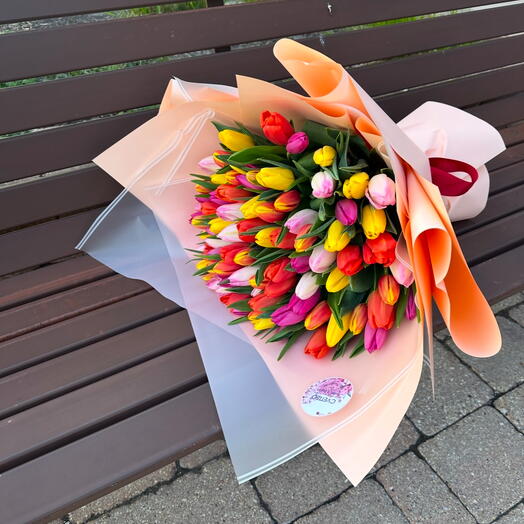 Mix tulips