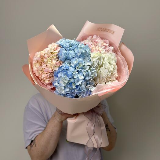 5 гортензий