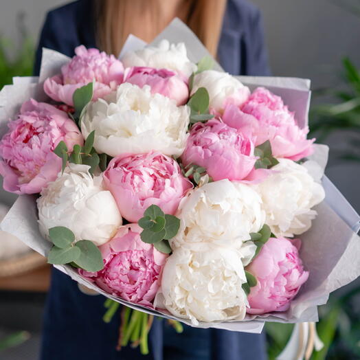 15 peonii rożowo-białycvh z eukaliptusem / 15 pink and white peonies with eucalyptus