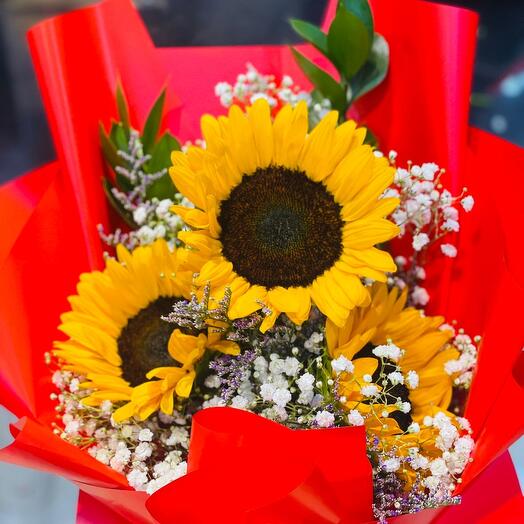 Sunflower lover