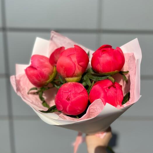 Пионы Coral Sunset, которые меняют цвет 🤩