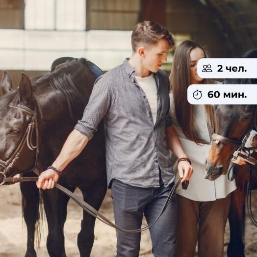 Лошадиные истории. Конная прогулка