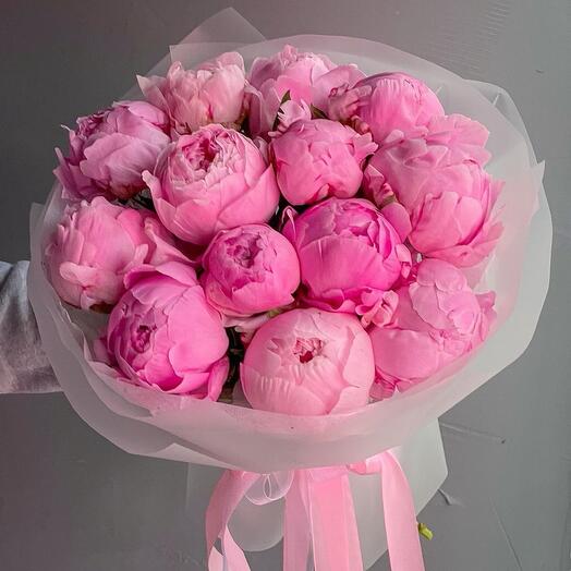 Пионы 🎀💕