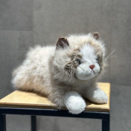 Очень мягкая игрушка кошка с красивым окрасом