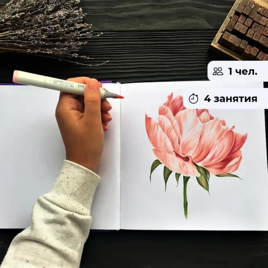 Скетчинг для начинающих. Базовый курс занятий