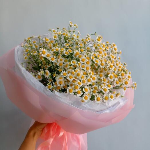 Ромашки