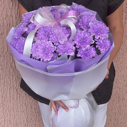 Хризантемы сиреневые 💜 премиум
