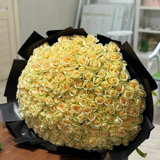 201 кремовые розы