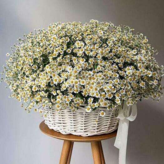 Корзина с цветами летние поле ромашек