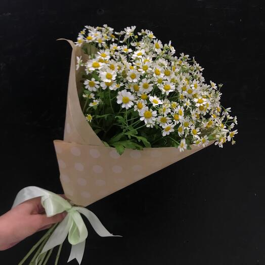 Монобукет из ромашек. Букет-комплимент
