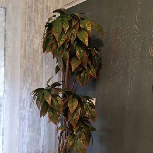 Манго искусственное