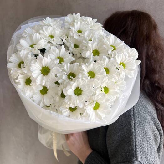 White daisies