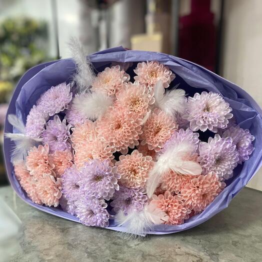 Нежные Хризантемы Алтай