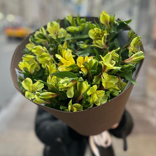 Желтая альстромерия